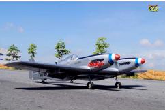 VQ Model - F-82 Twin Mustang EP/GP 46 Size ARF image