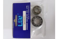 Leo Engines - Bearing Set (2pcs) image