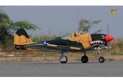 VQ Model - P-39 Air Cobra EP/GP Summer Camo 46 Size ARF image