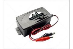 TY-1 - 12V Fuel Pump image