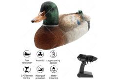  Flytec - R/C Mallard Duck RTR Complete image