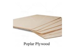 Midwest - Poplar Plywood 1/4" (6mm) 12x6" (1pc) image