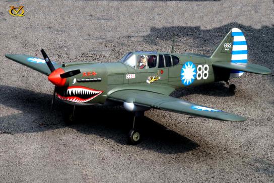VQ Model - Curtiss P-40 Warhawk EP/GP 60-90 Size ARF Kit image