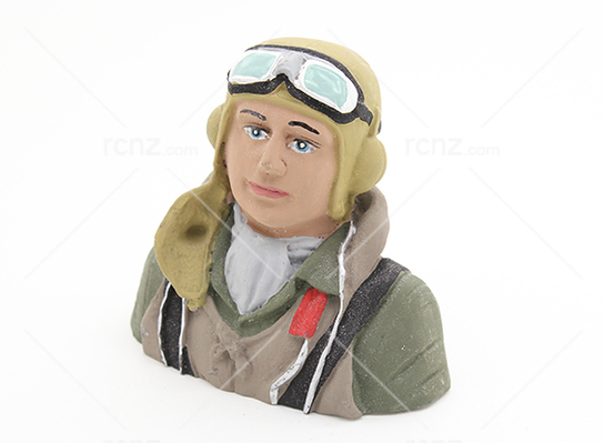 RCNZ - WWII European Military Pilot image