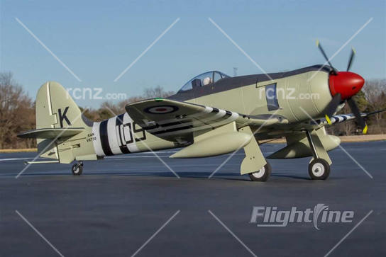 Freewing Model - Hawker Sea Fury 1200mm Wingspan PNP image