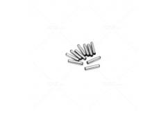Maverick 2x10mm Pins (10) image